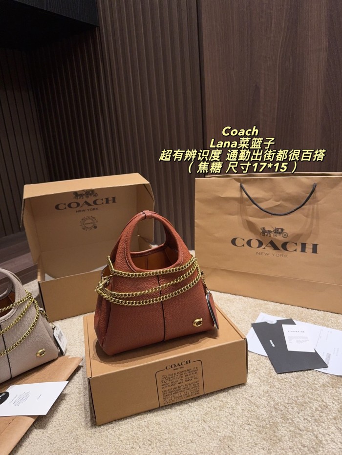 Coach Lana Bag 021 DB561 17cm