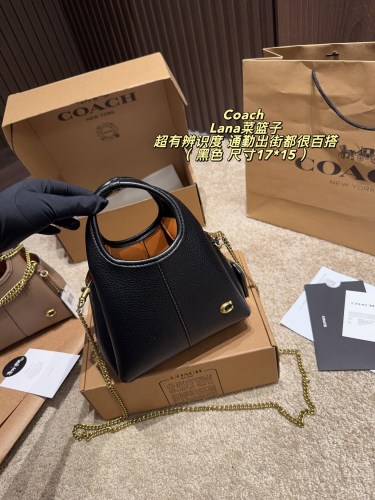 Coach Lana Bag 021 DB561 17cm