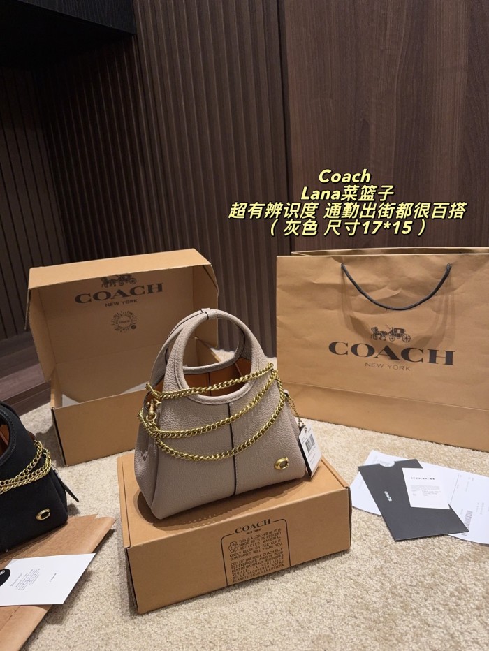 Coach Lana Bag 021 DB561 17cm