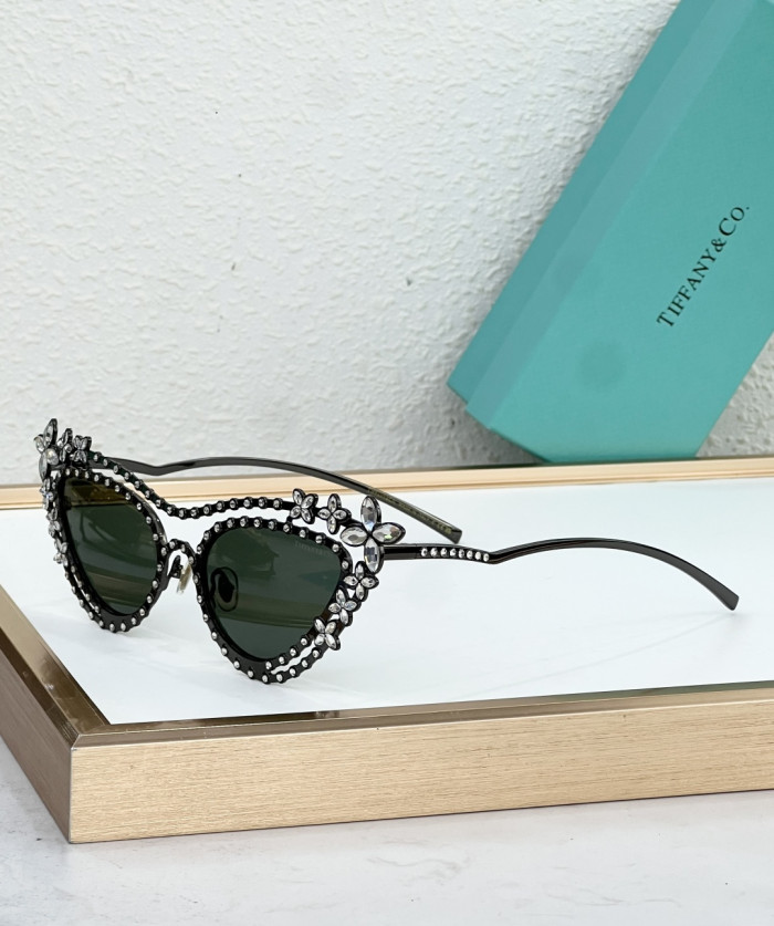 Tiffany & Co. Sunglasses TF3106BK