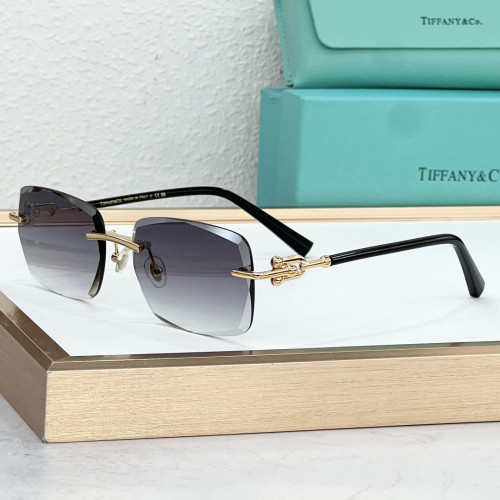 Tiffany & Co. Sunglasses TF5032