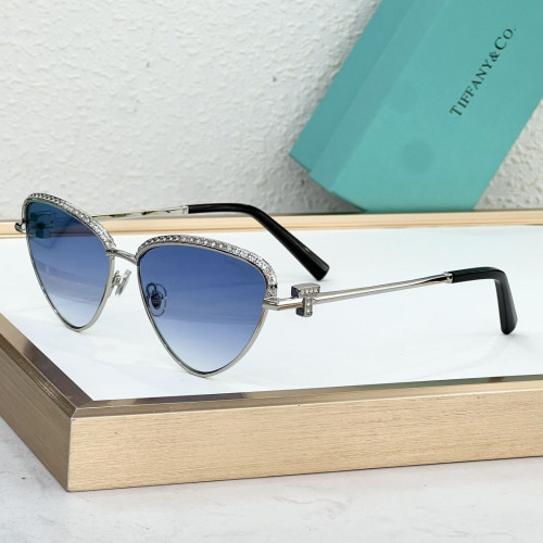 Tiffany & Co. Sunglasses TF3107
