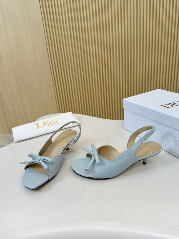 Dior shoes 060 HL072