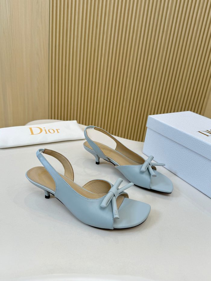 Dior shoes 060 HL072