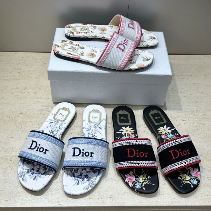 Dior shoes 066 HL051