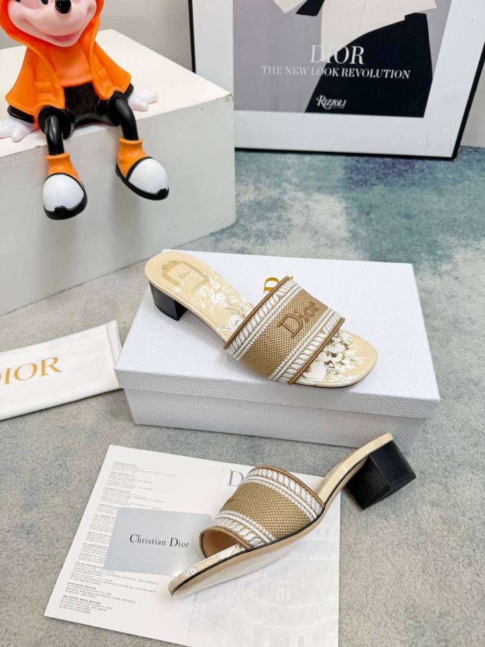 Dior shoes 056 HL081