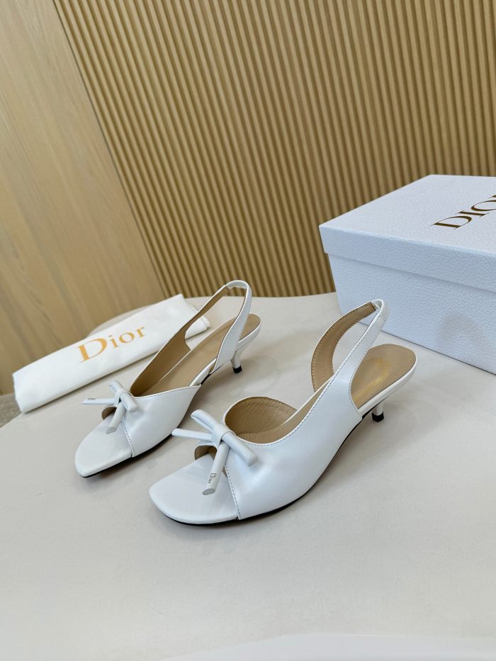 Dior shoes 060 HL072