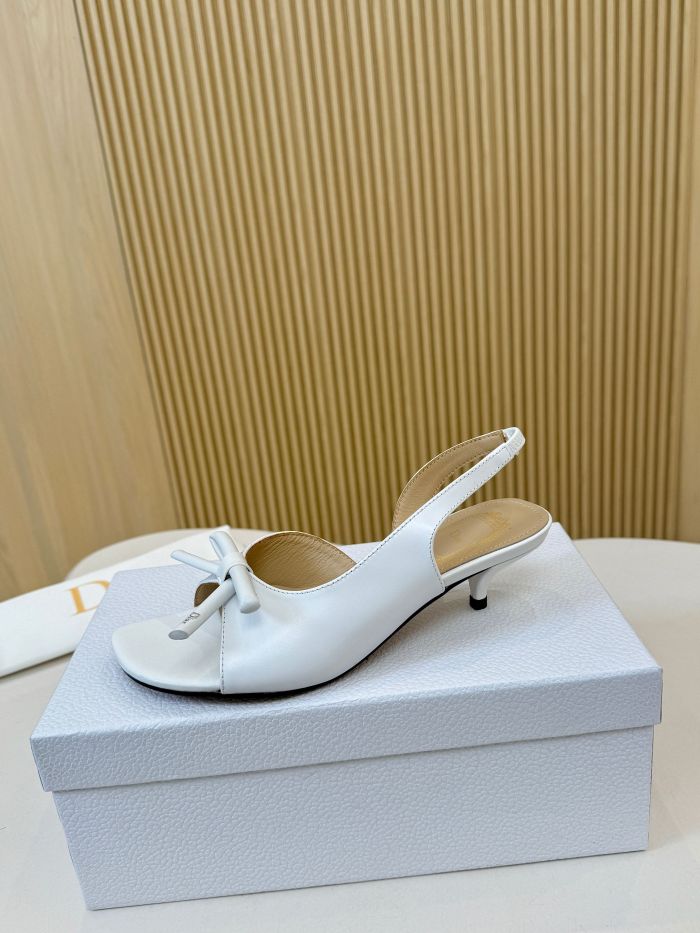 Dior shoes 060 HL072
