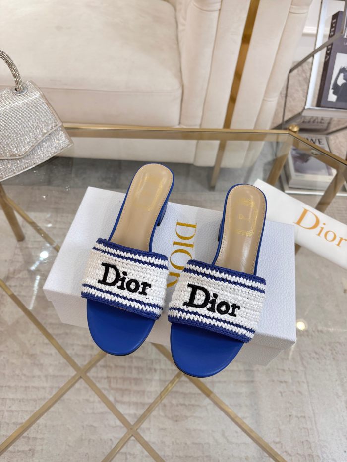 Dior shoes 069 HL081