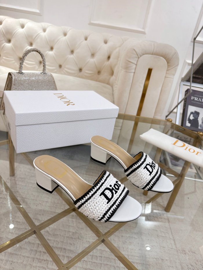 Dior shoes 069 HL081