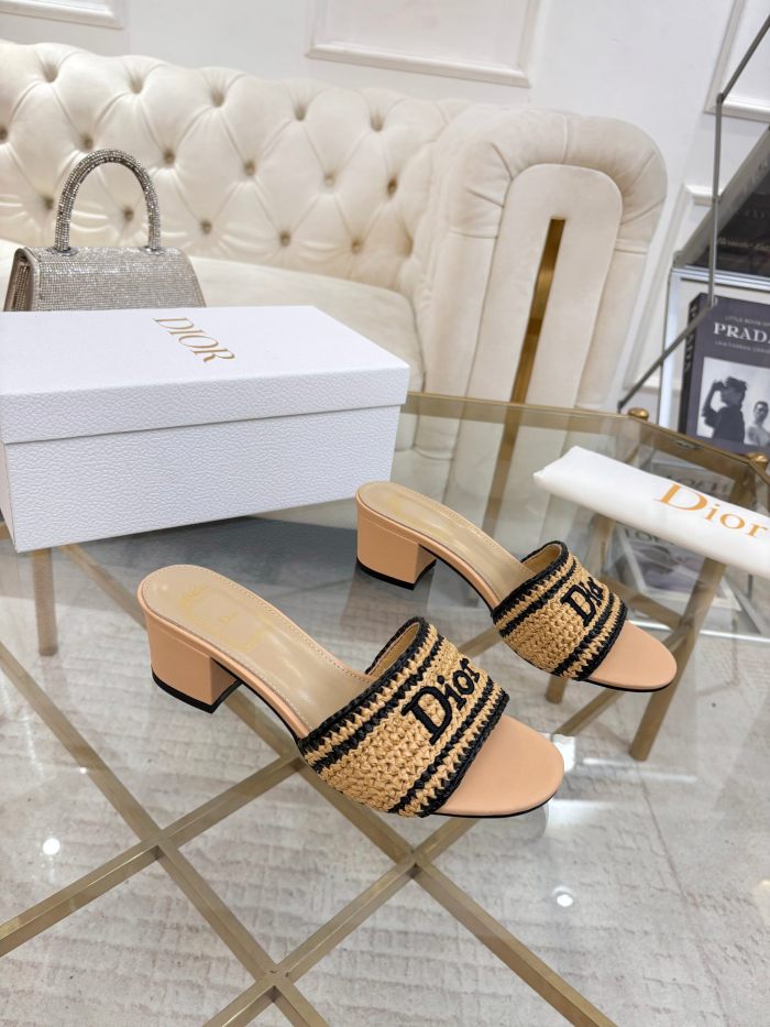 Dior shoes 069 HL081