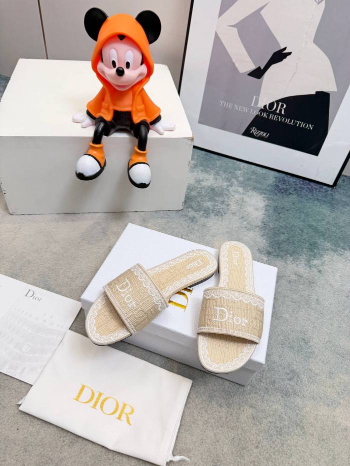 Dior shoes 057 HL081