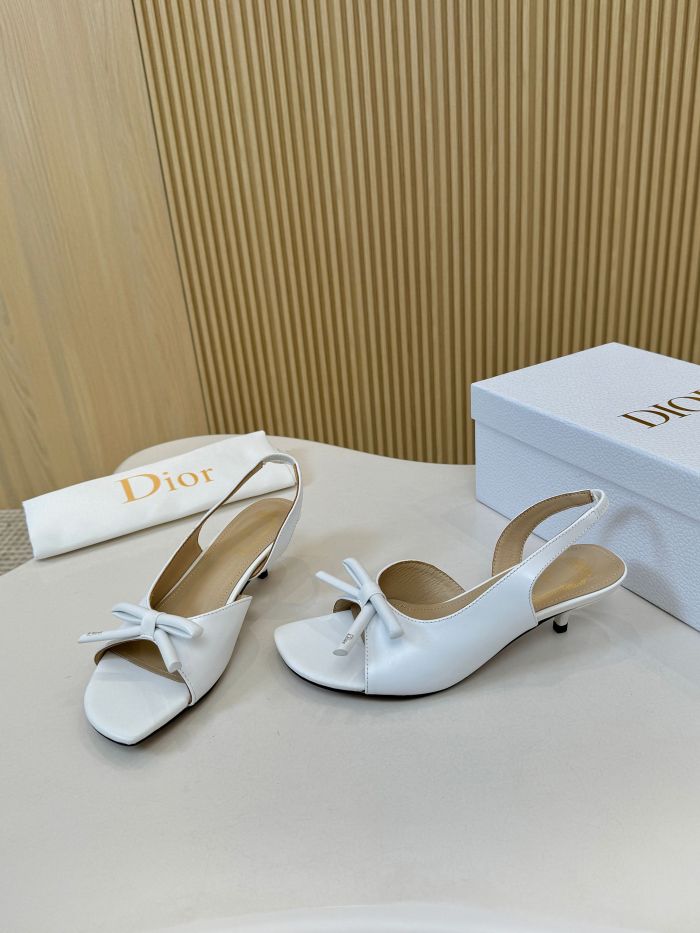 Dior shoes 060 HL072