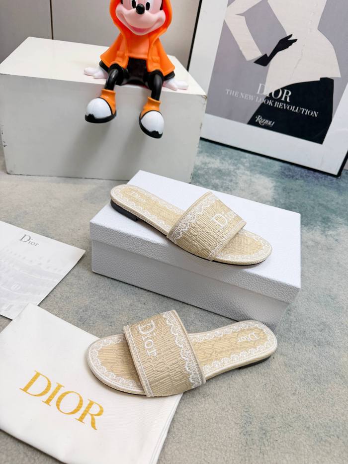 Dior shoes 057 HL081