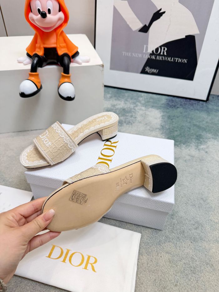 Dior shoes 057 HL081