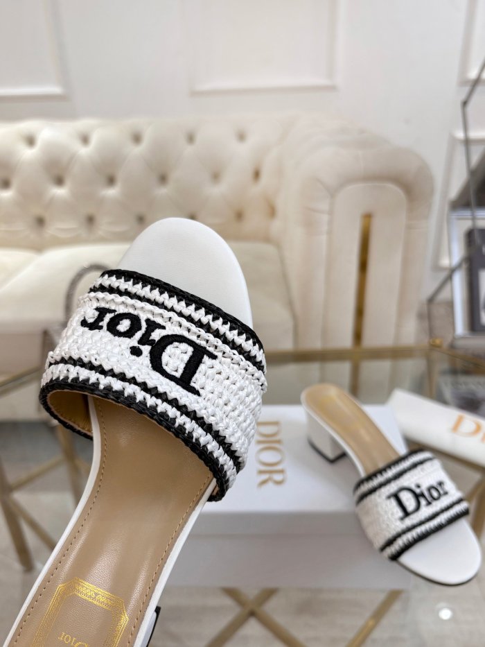 Dior shoes 069 HL081