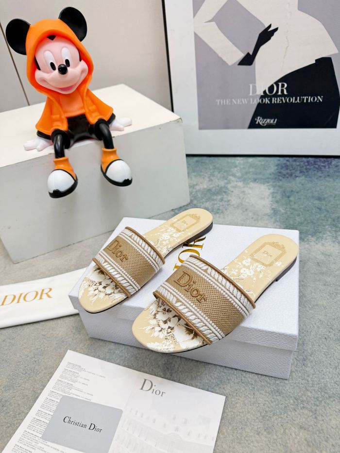 Dior shoes 056 HL081