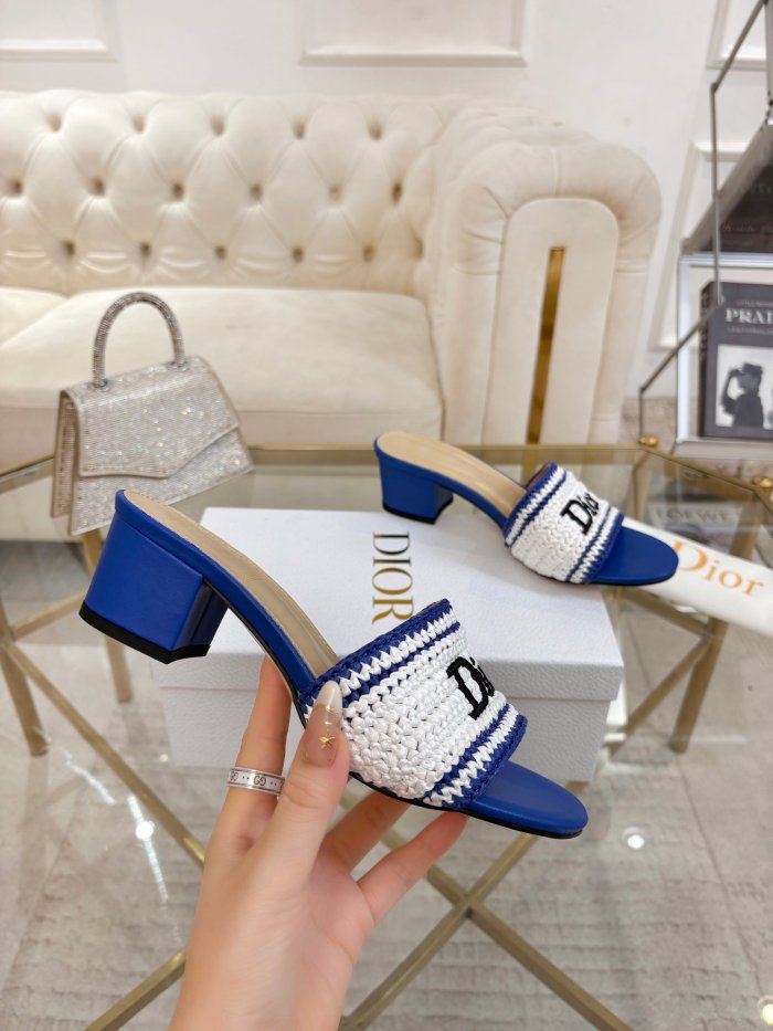 Dior shoes 069 HL081