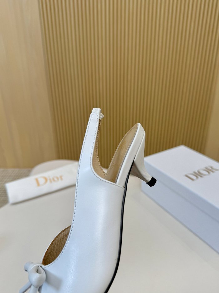 Dior shoes 060 HL072