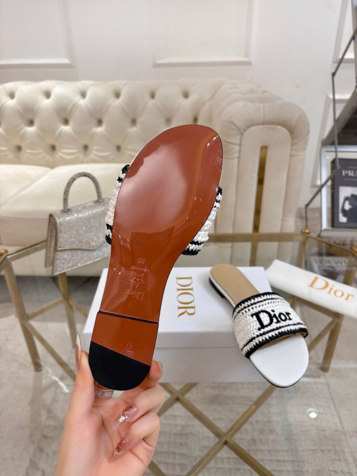 Dior shoes 068 HL051