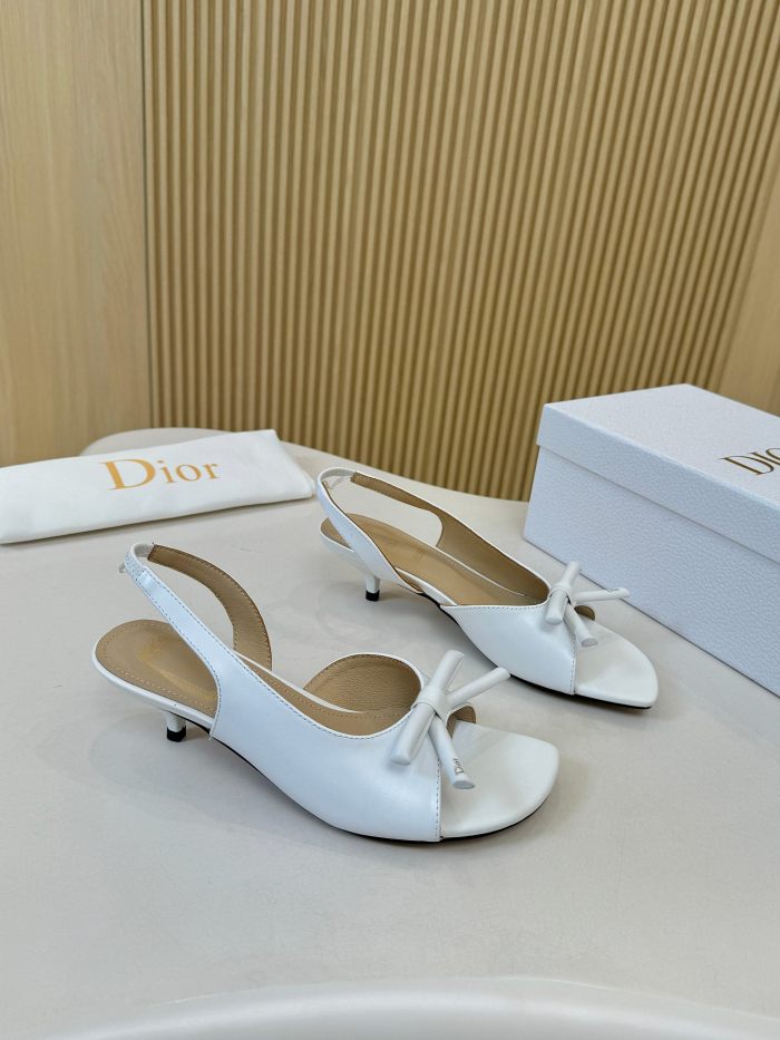 Dior shoes 060 HL072