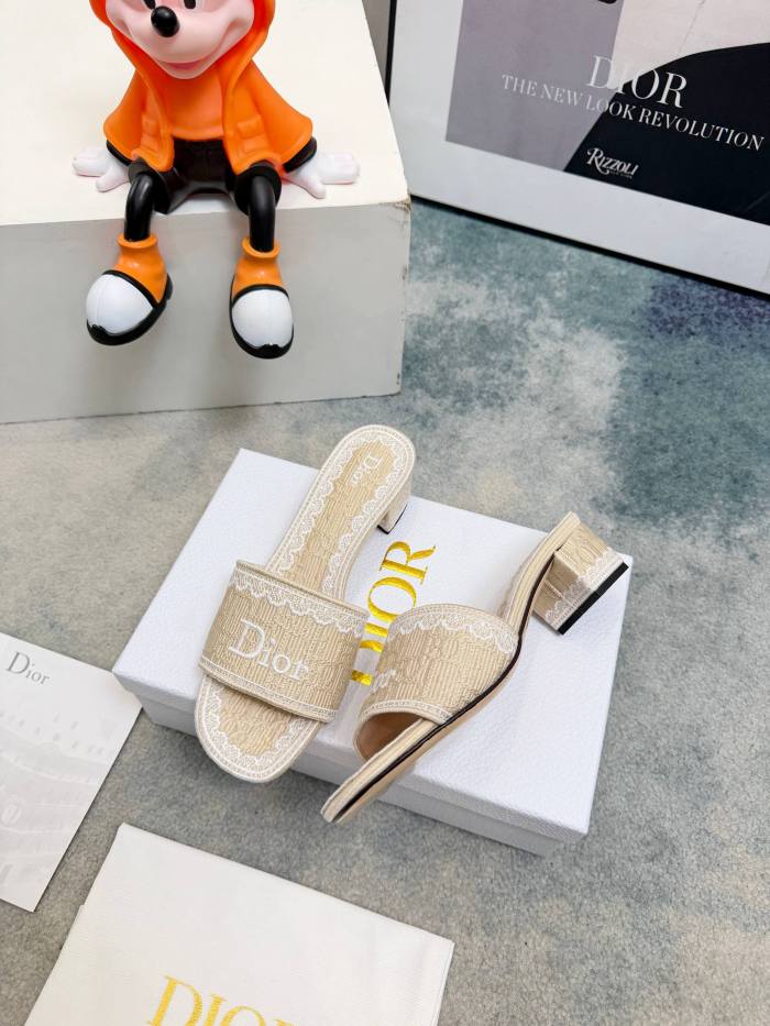 Dior shoes 057 HL081