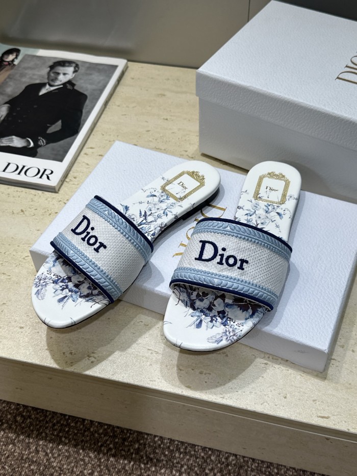 Dior shoes 066 HL051