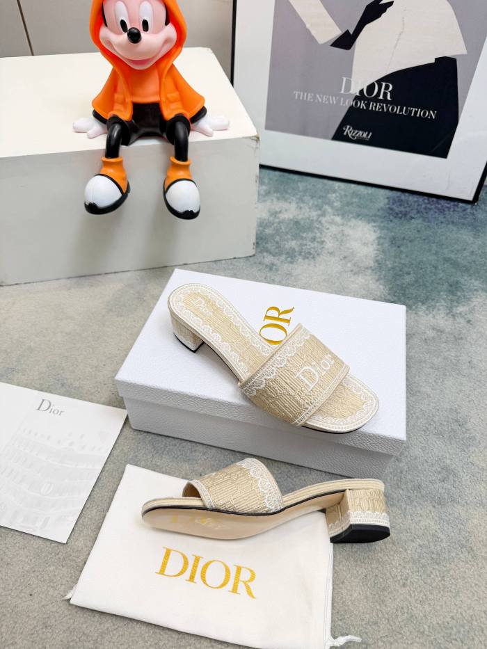 Dior shoes 057 HL081