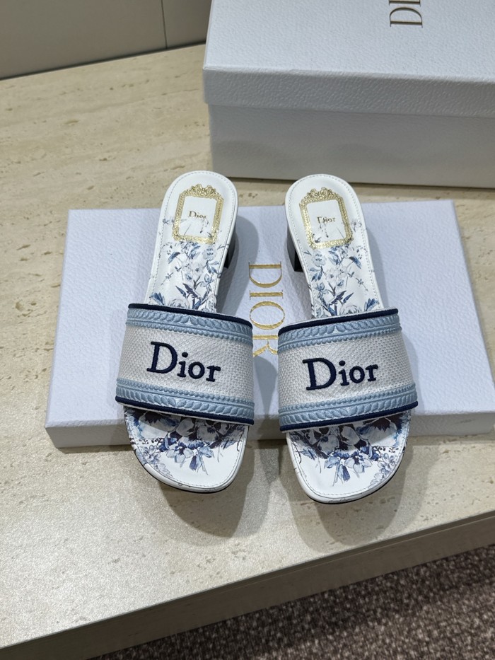 Dior shoes 067 HL081