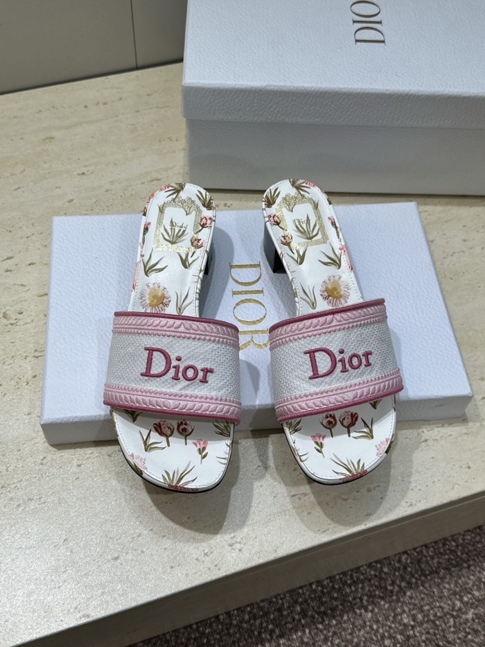 Dior shoes 067 HL081