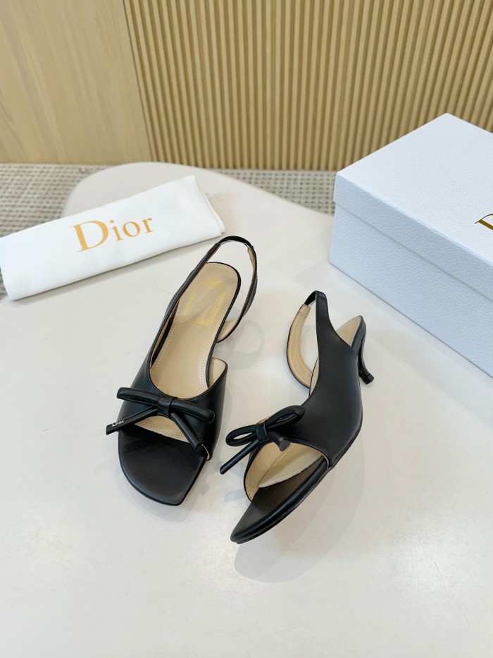 Dior shoes 060 HL072