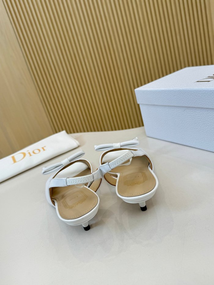 Dior shoes 060 HL072