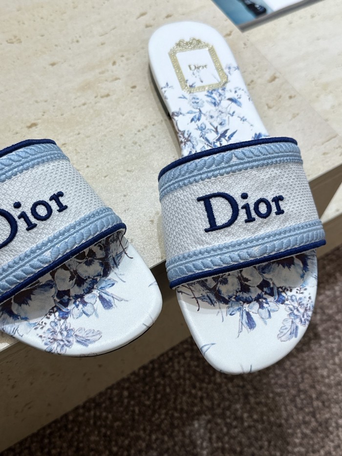 Dior shoes 066 HL051