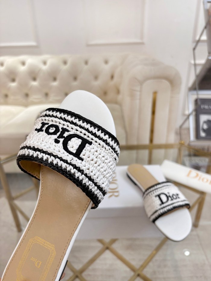 Dior shoes 068 HL051