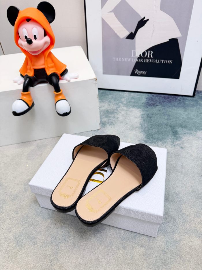 Dior shoes 063 HL002