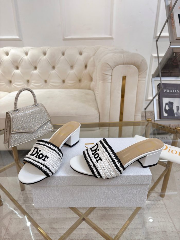 Dior shoes 069 HL081