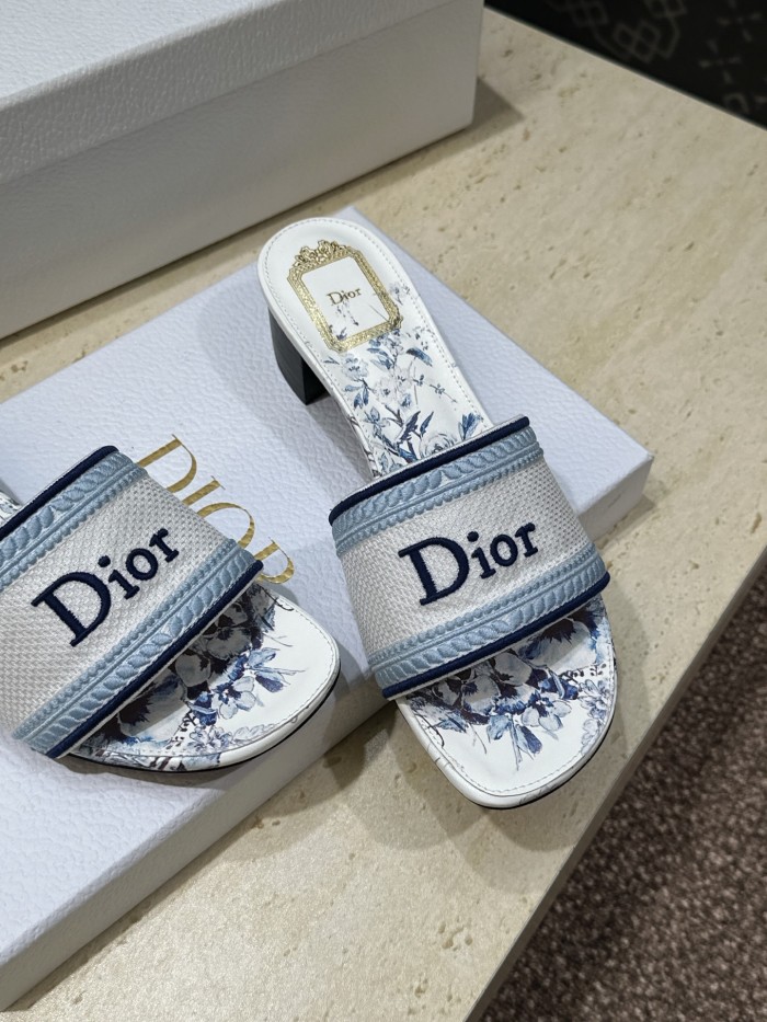 Dior shoes 067 HL081