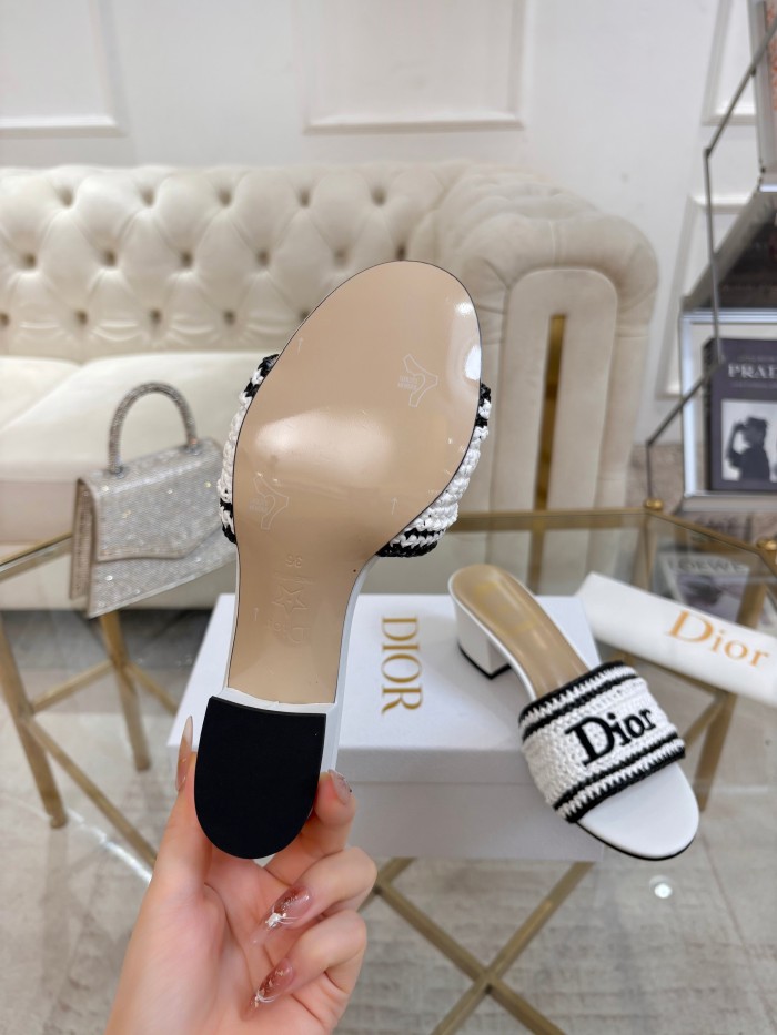 Dior shoes 069 HL081