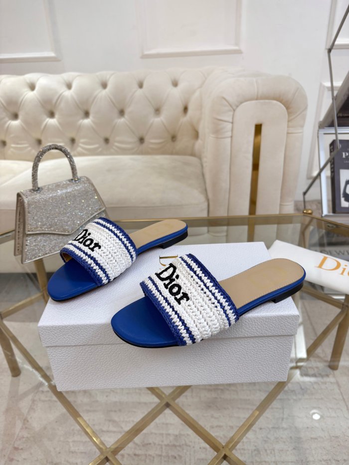 Dior shoes 068 HL051