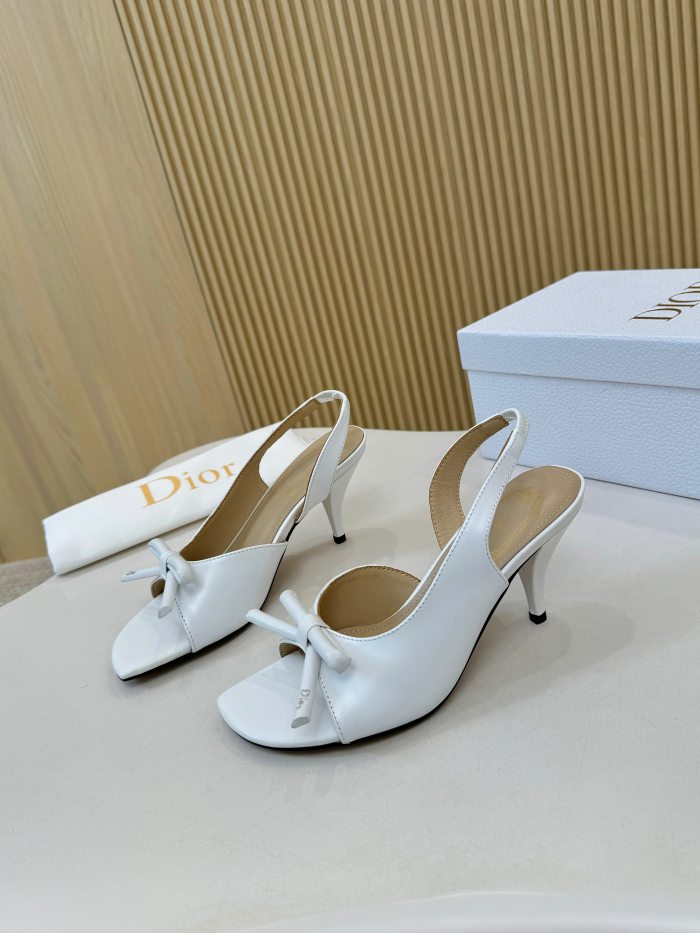 Dior shoes 061 HL072