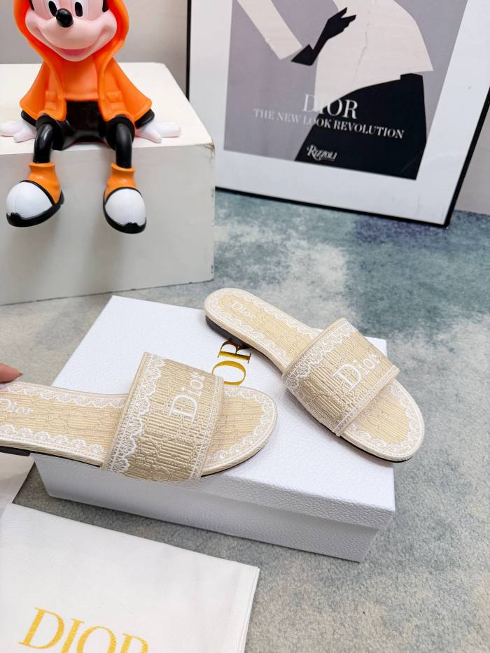 Dior shoes 057 HL081