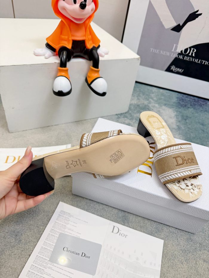 Dior shoes 056 HL081