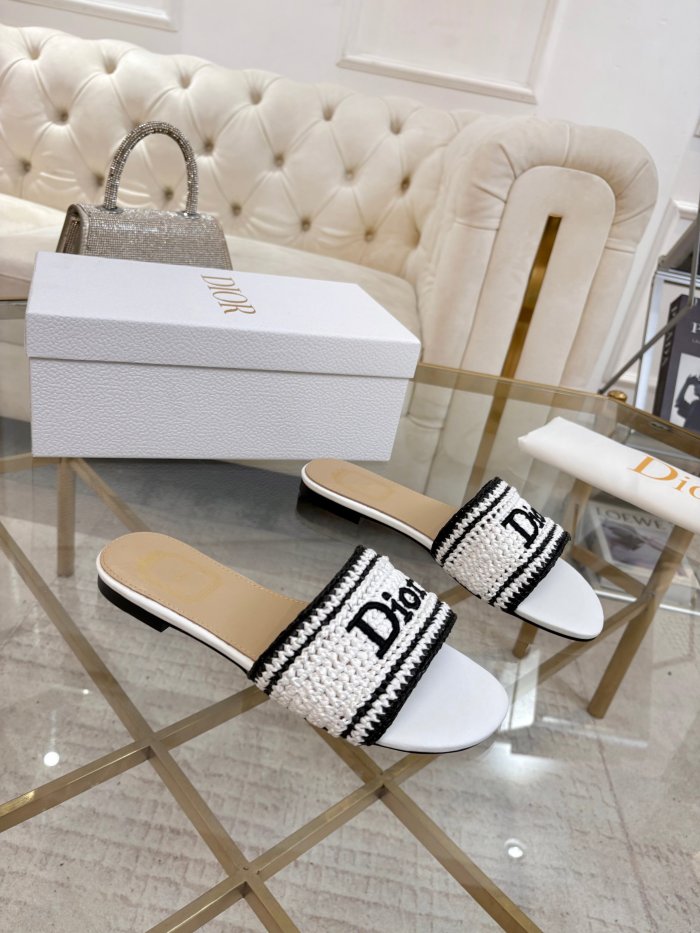 Dior shoes 068 HL051