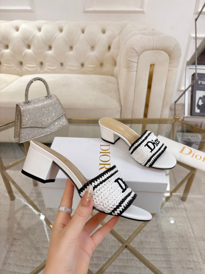 Dior shoes 069 HL081