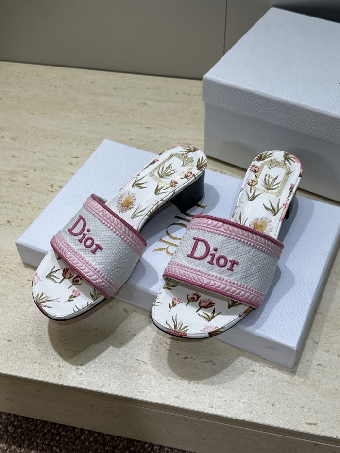 Dior shoes 067 HL081