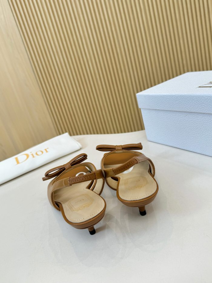 Dior shoes 060 HL072
