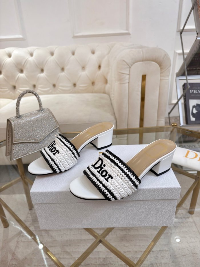 Dior shoes 069 HL081