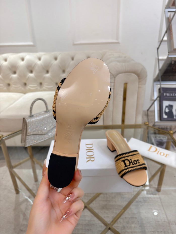 Dior shoes 069 HL081