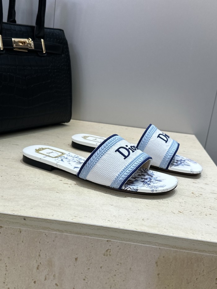 Dior shoes 066 HL051