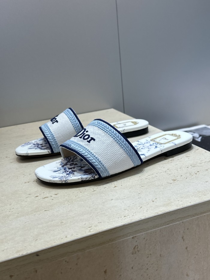 Dior shoes 066 HL051